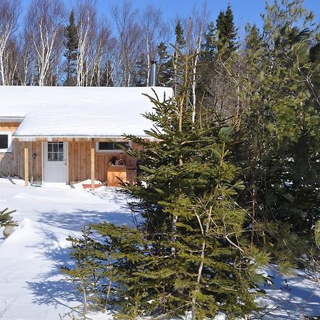 The Sleeping Moose Cottage Birch Plain 외부 사진