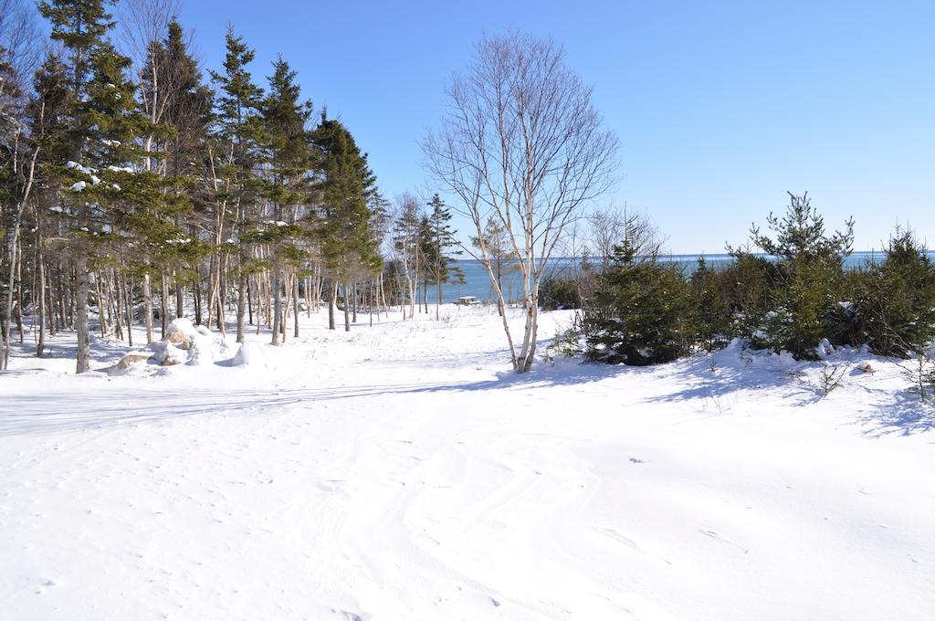 The Sleeping Moose Cottage Birch Plain 외부 사진