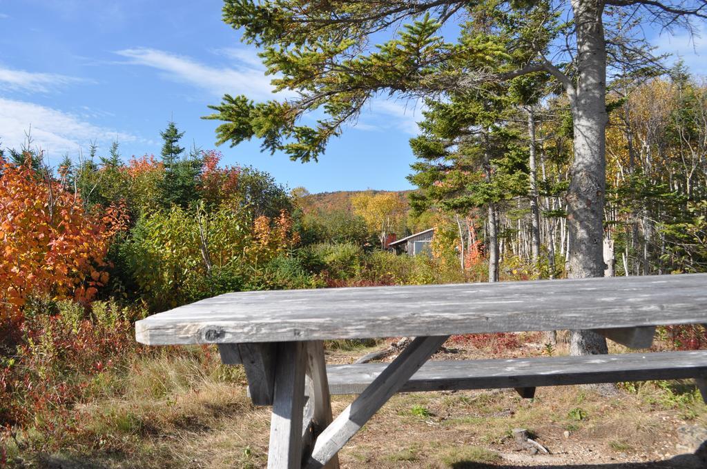 The Sleeping Moose Cottage Birch Plain 외부 사진