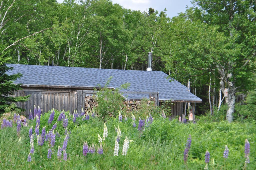 The Sleeping Moose Cottage Birch Plain 외부 사진