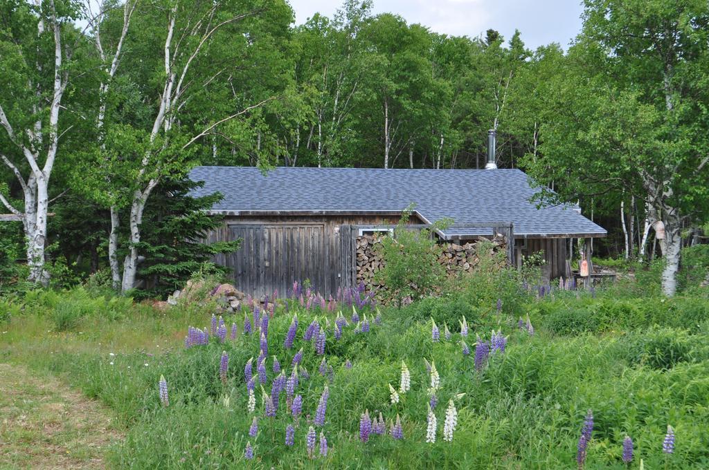 The Sleeping Moose Cottage Birch Plain 외부 사진