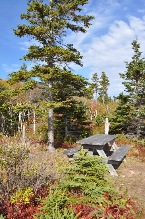 The Sleeping Moose Cottage Birch Plain 외부 사진