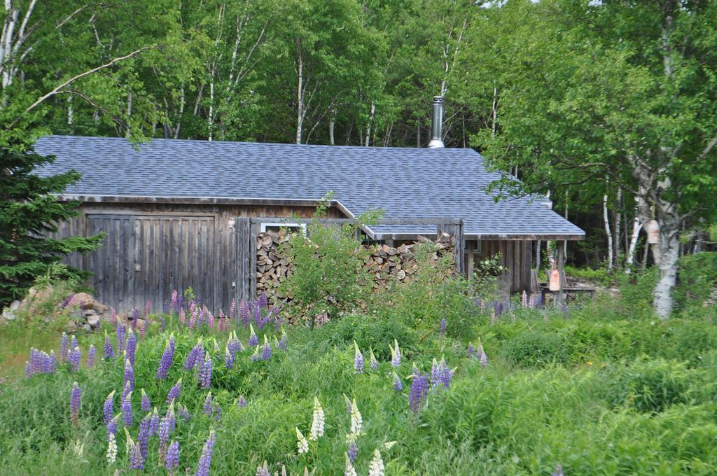 The Sleeping Moose Cottage Birch Plain 외부 사진