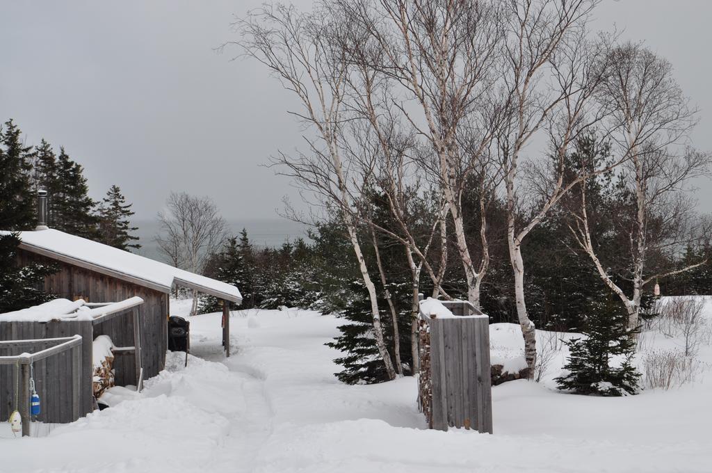 The Sleeping Moose Cottage Birch Plain 외부 사진