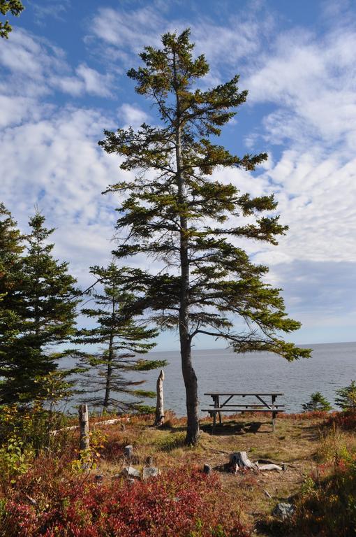 The Sleeping Moose Cottage Birch Plain 외부 사진
