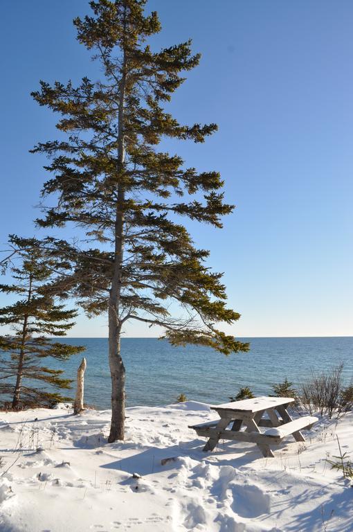 The Sleeping Moose Cottage Birch Plain 외부 사진