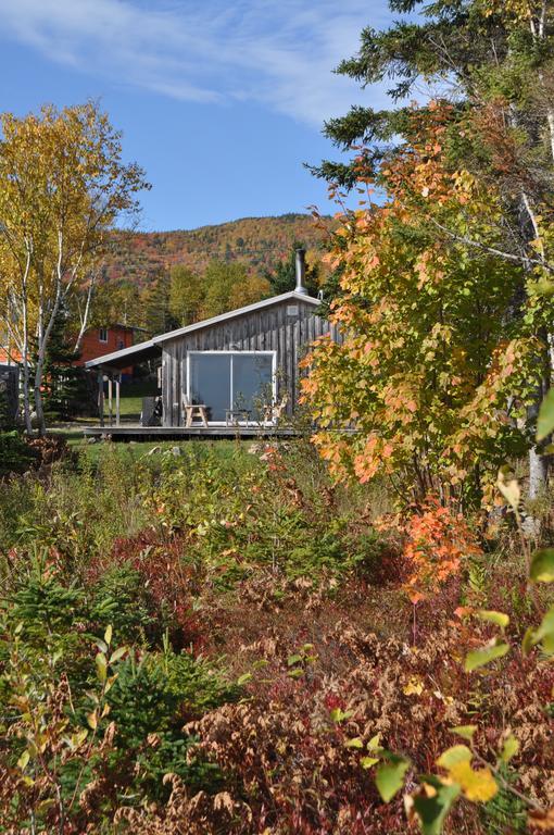 The Sleeping Moose Cottage Birch Plain 외부 사진