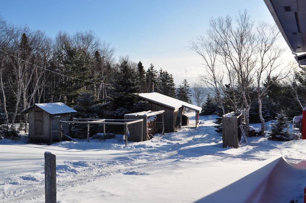 The Sleeping Moose Cottage Birch Plain 외부 사진